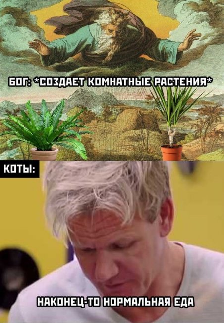 Весёлый полтишок